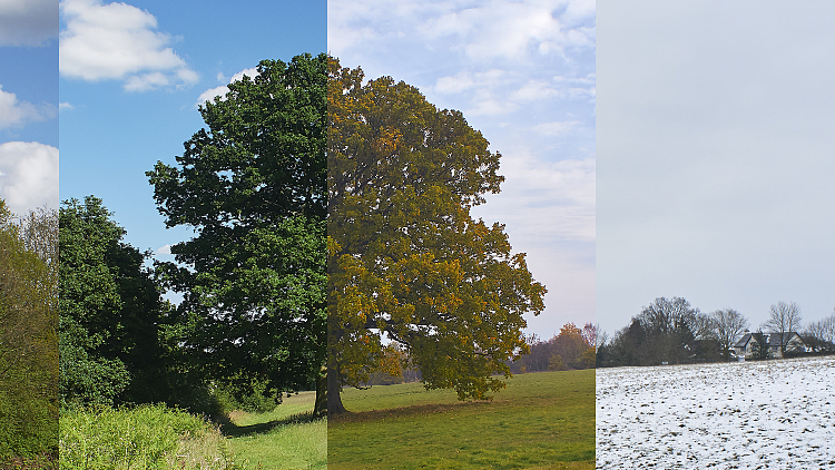 Super-large dataset about global climate system launched - CGTN