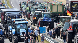 Dutch Farmers' Protests Spark EU Food Security Fears - CGTN