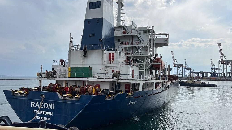 First Ukraine Grain Ship Enters Bosphorus After Inspection - CGTN