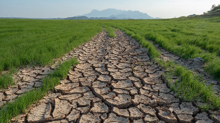 China Renews Orange Alert For Drought In Parts Of Southern China Cgtn 9987