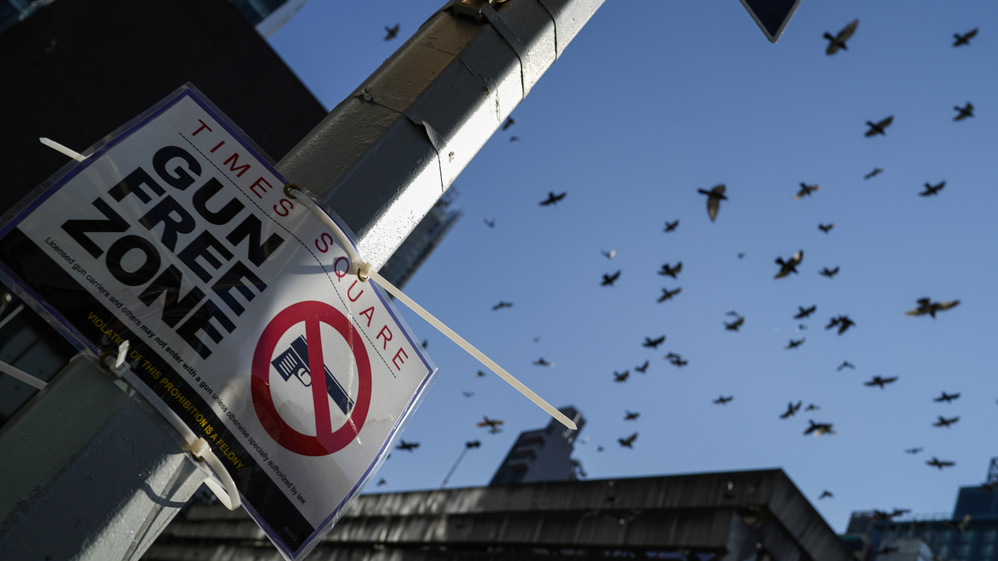 A Gun Free Zone sign is seen near Times Square in New York City, U.S., October 11, 2022. /CFP