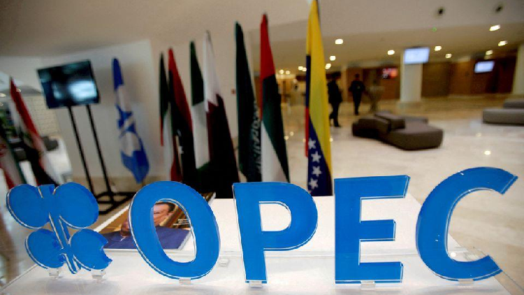 OPEC+ agrees to cut output by 100,000 bpd in October - CGTN