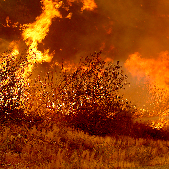 Heatwaves To Worsen Air Quality Additional climate Penalty WMO CGTN