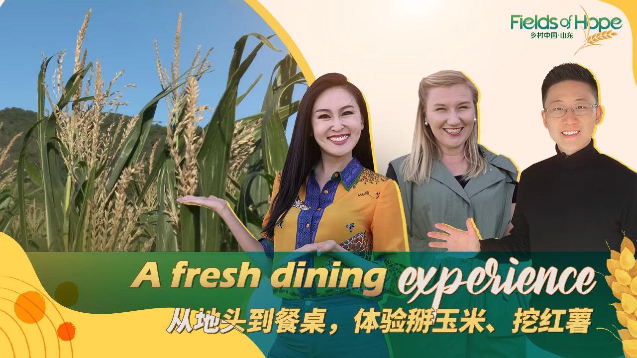 Live Farm to table A fresh dining experience CGTN