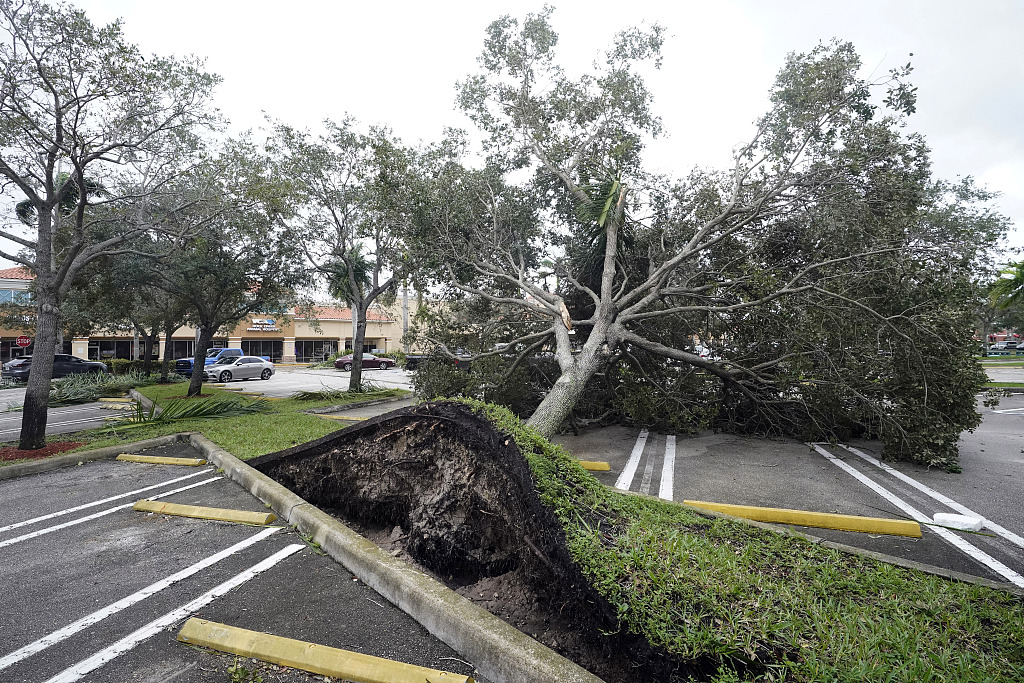An uprooted tree, toppled by strong winds from the outer bands of Hurricane Ian, rests in a parking lot of a shopping center in Cooper City, Florida, September 28, 2022. /VCG