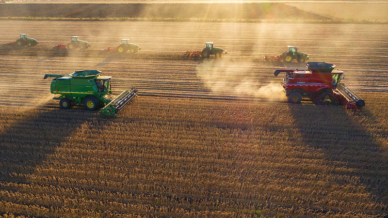 Harvesting machines working in the crop field in northeast China's Heilongjiang Province, September 29, 2020. /CFP 