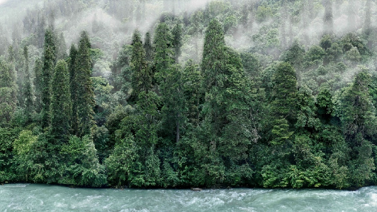 ee710d2c6a6d48b89aed6311b9286f