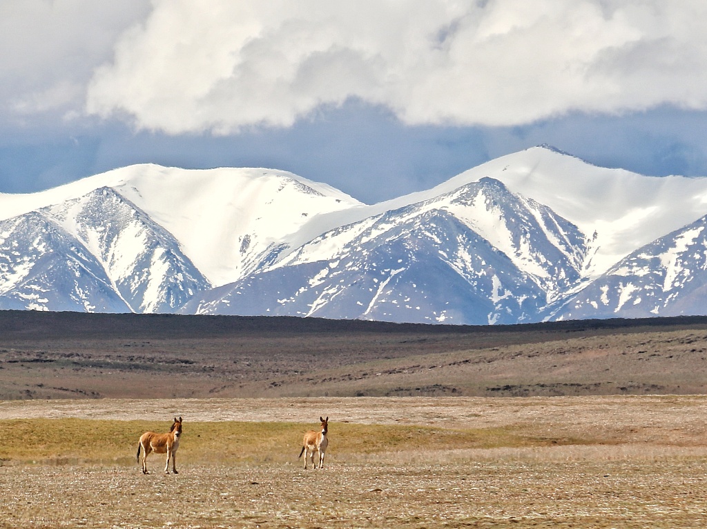 Three-River-Source National Park located in northwest China's Qinghai Province. /VCG