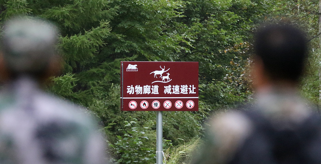 Sign in the Siberian Tiger National Park reads: Animal corridor, please slow down and give way. /VCG