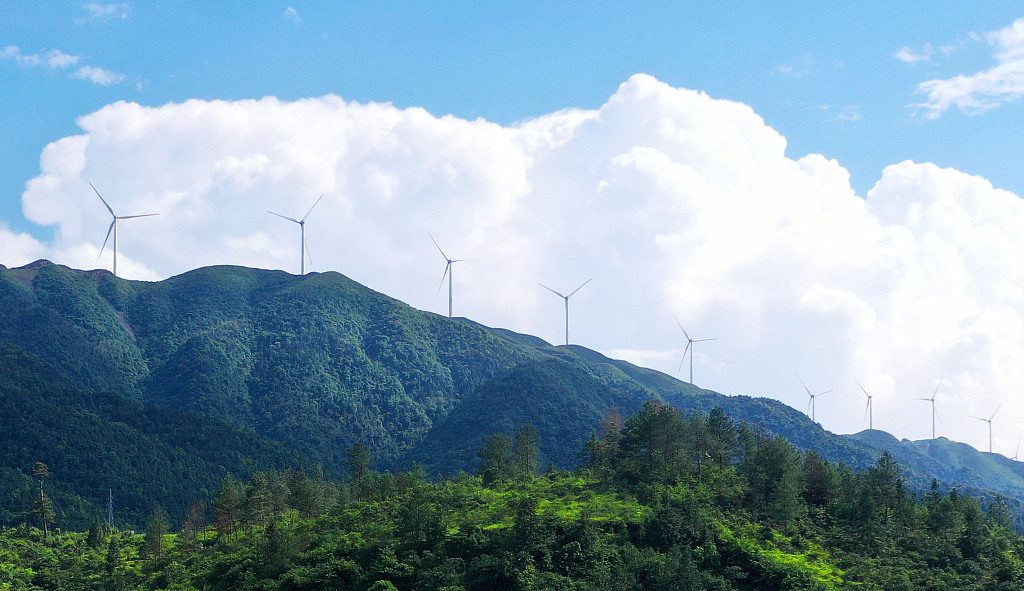 Wind power helps reduce carbon emissions in Ji'an City, east China's Jiangxi Province, May 14, 2021. /CFP