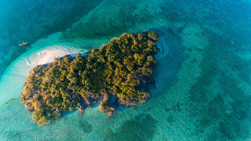 Half Of World S Coral Reefs Face Climate Change Threat By 2035 Study   B7993d09d6f146a1b2e2a5a596c61bee 