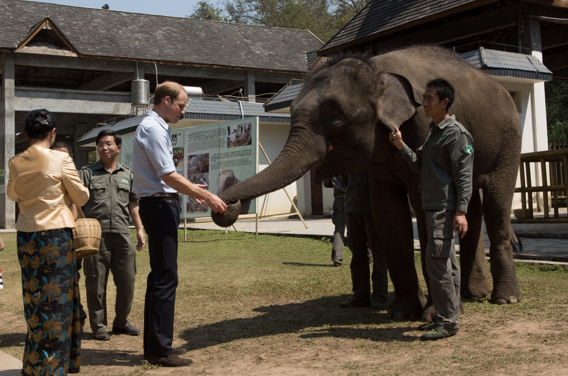 Prince William interacts with Ran Ran under the company of Xiong Chaoyong (R)./Xiong Chaoyong