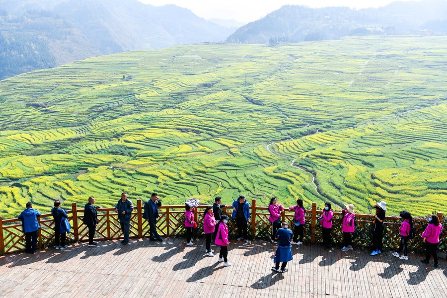 Tourists view the scenery of cole flower fields in Panzhou, southwest China's Guizhou Province, March 7, 2022. /Xinhua