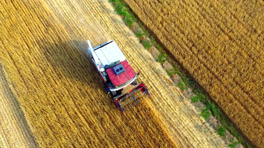 Aerial photo of farmers harvesting wheat in the fields in Xiapo Village of Linyi, east China's Shandong Province, May 24, 2022. /Xinhua