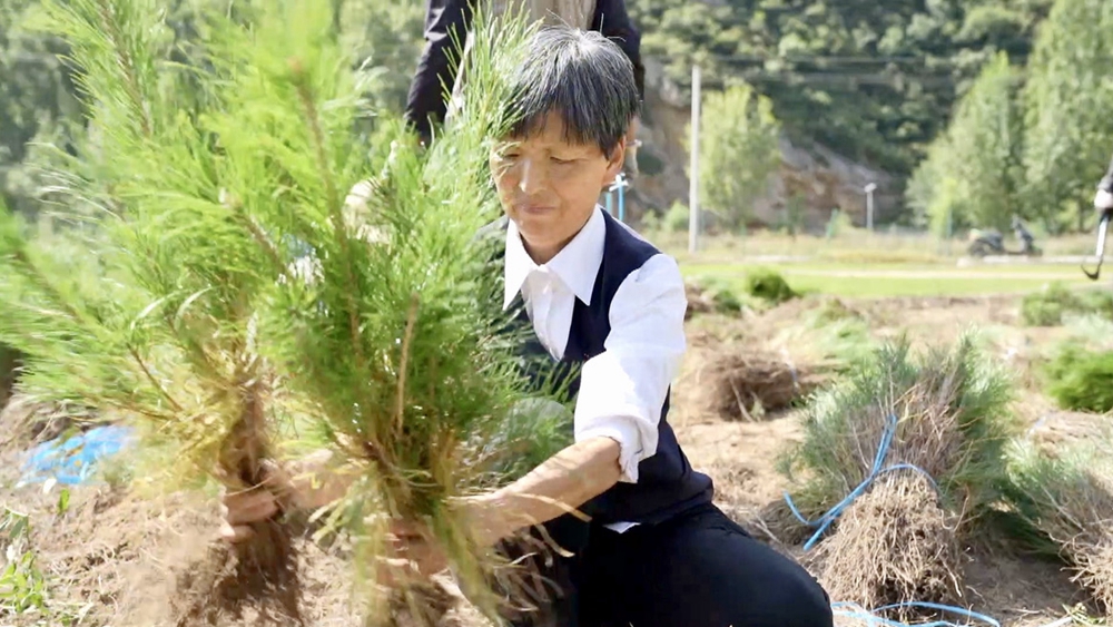 Liu Guizhen works with local villagers to plant Chinese pine trees in Duanjiawan Village, Xinzhou City, Shanxi Province, September 25, 2022. /CGTN