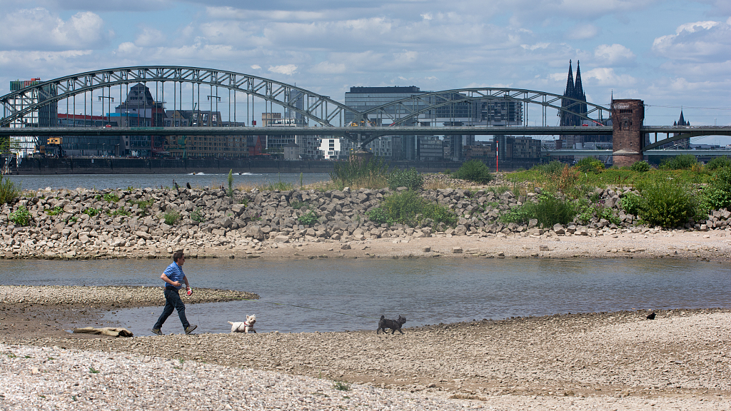 General view of low water levels due to a dry season, preventing cargo vessels from being loaded on the Rhine in Cologne, Germany, July 16, 2022. /CFP