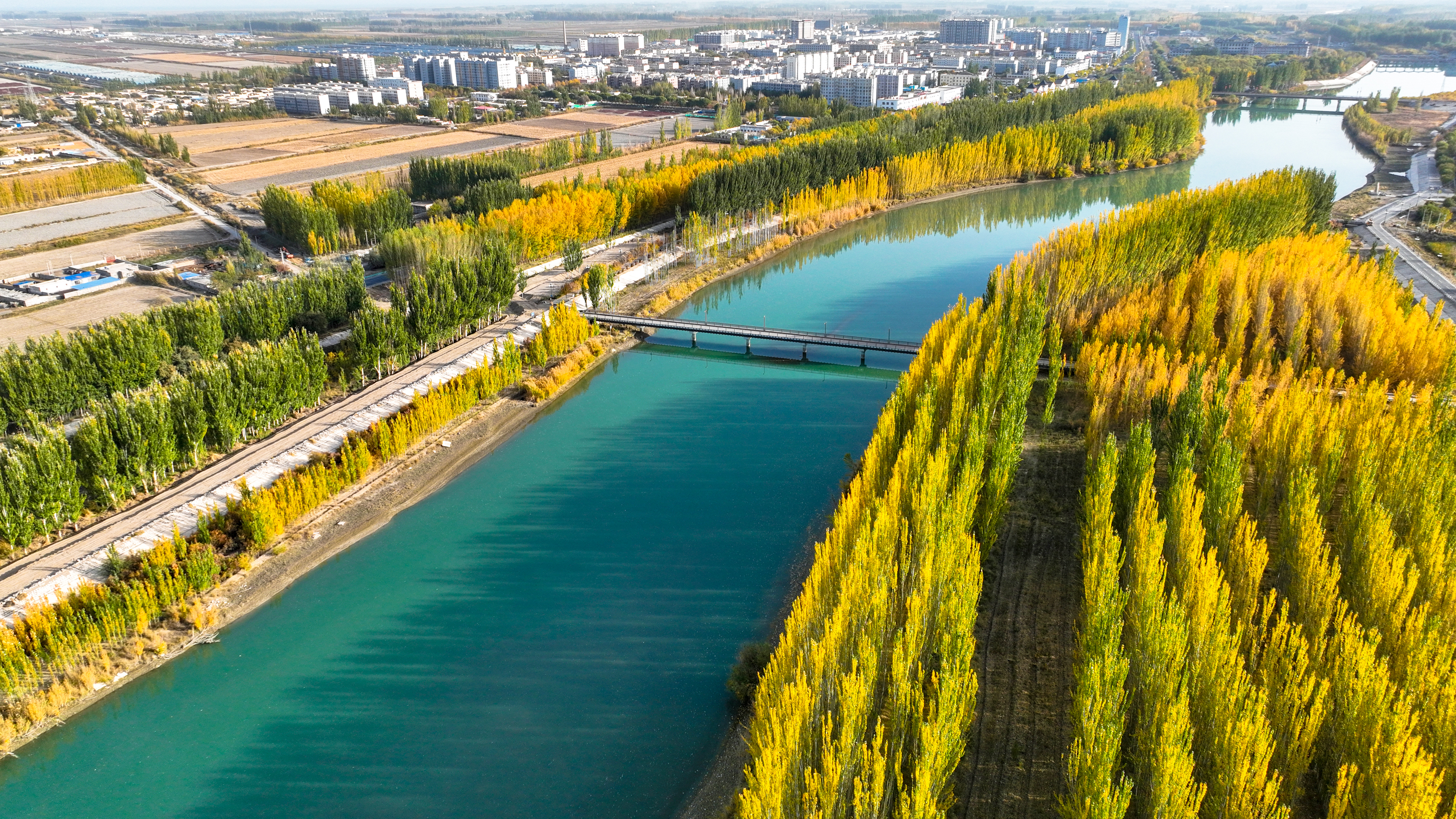 Autumn scenery at Kaidu River of NW China