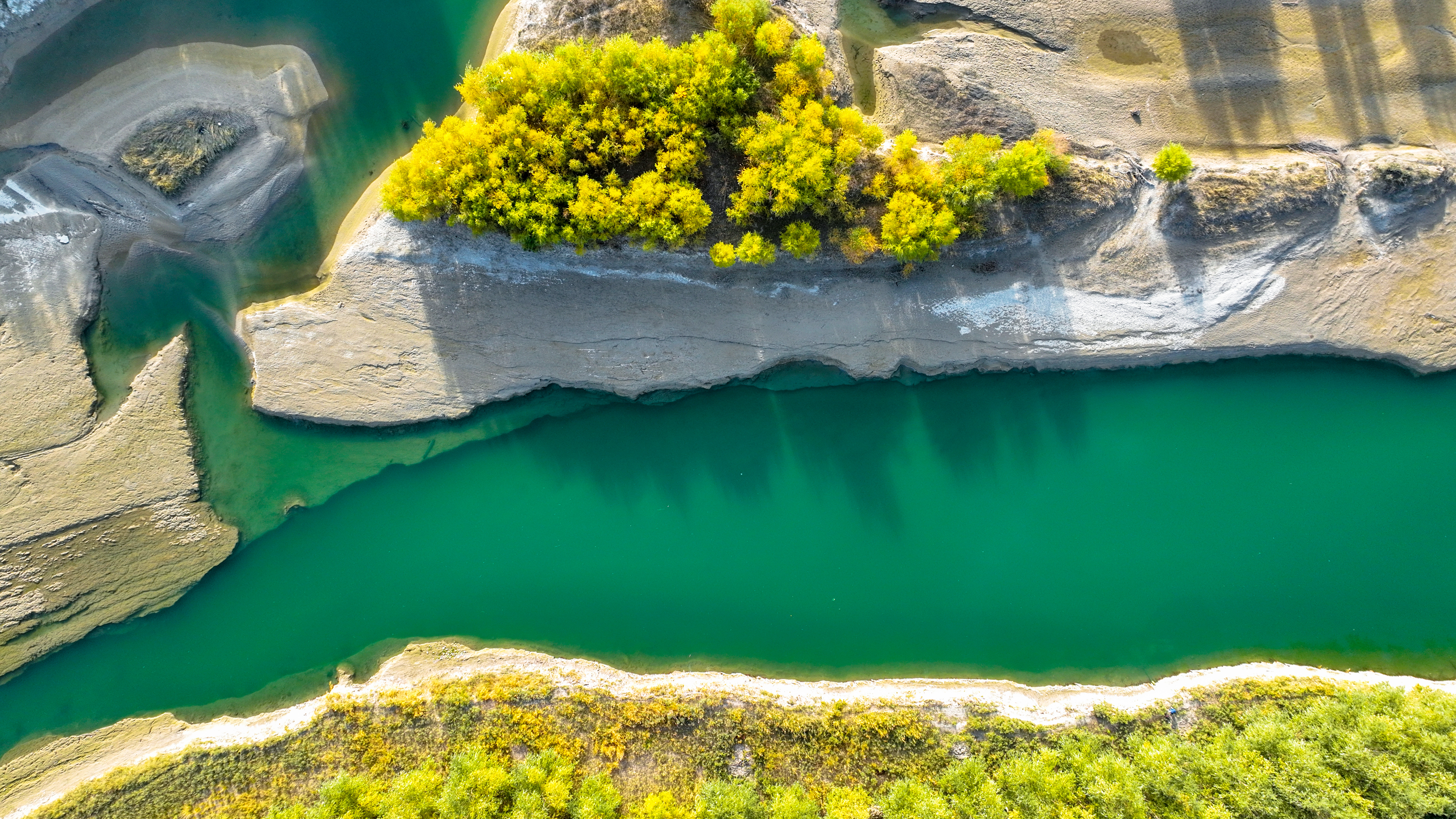 Autumn scenery at Kaidu River of NW China