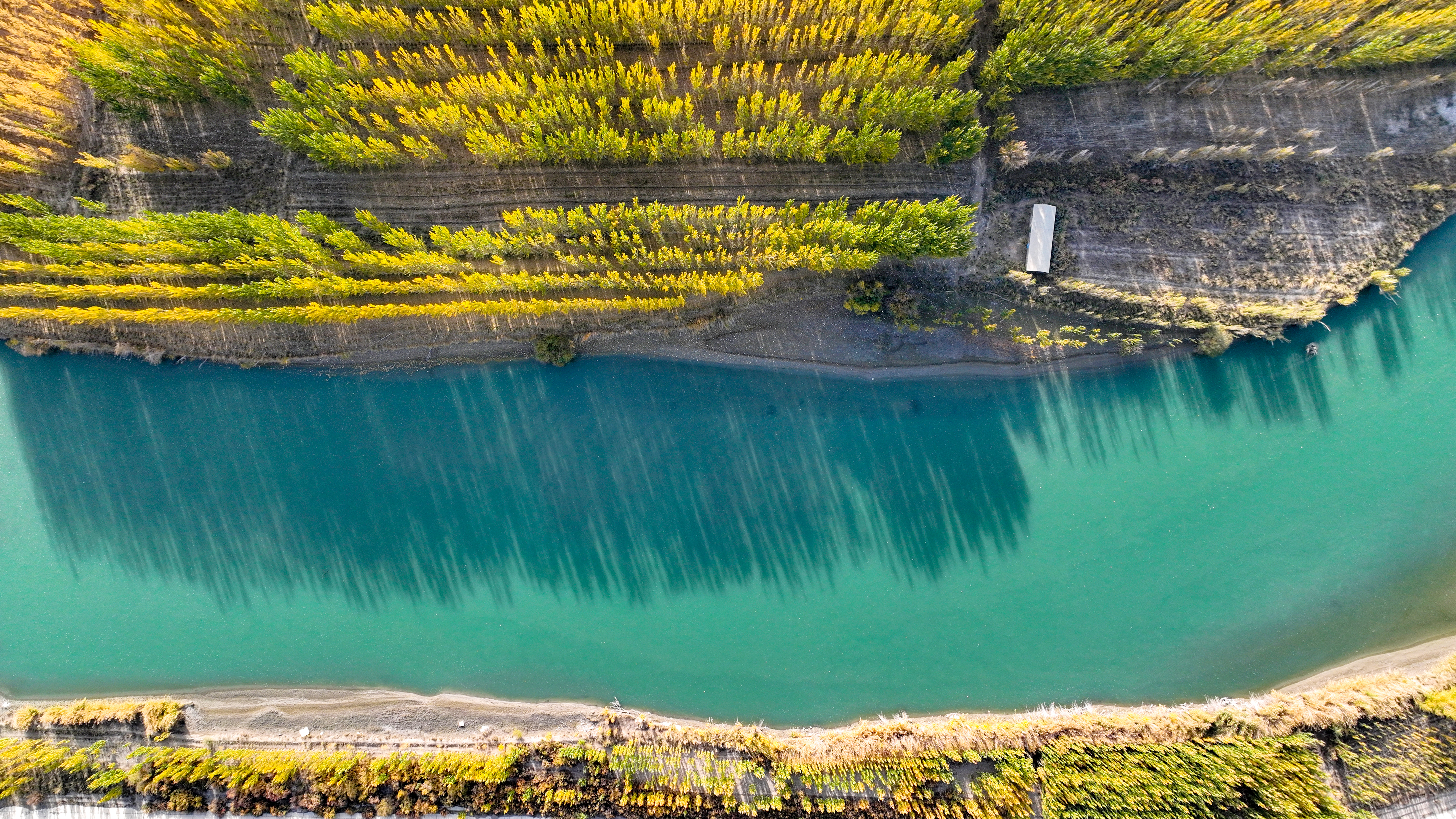 Autumn scenery at Kaidu River of NW China