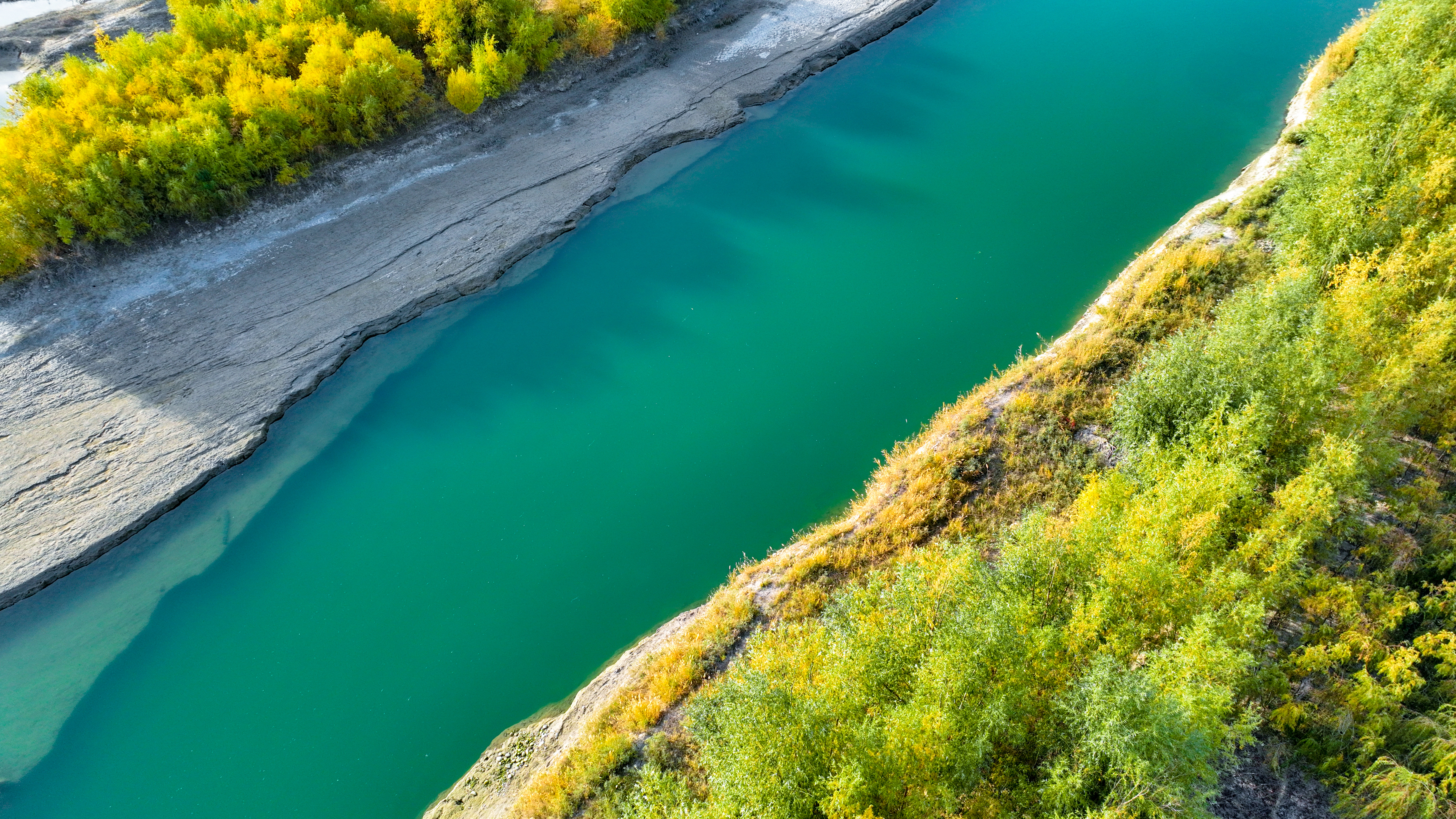 Autumn scenery at Kaidu River of NW China