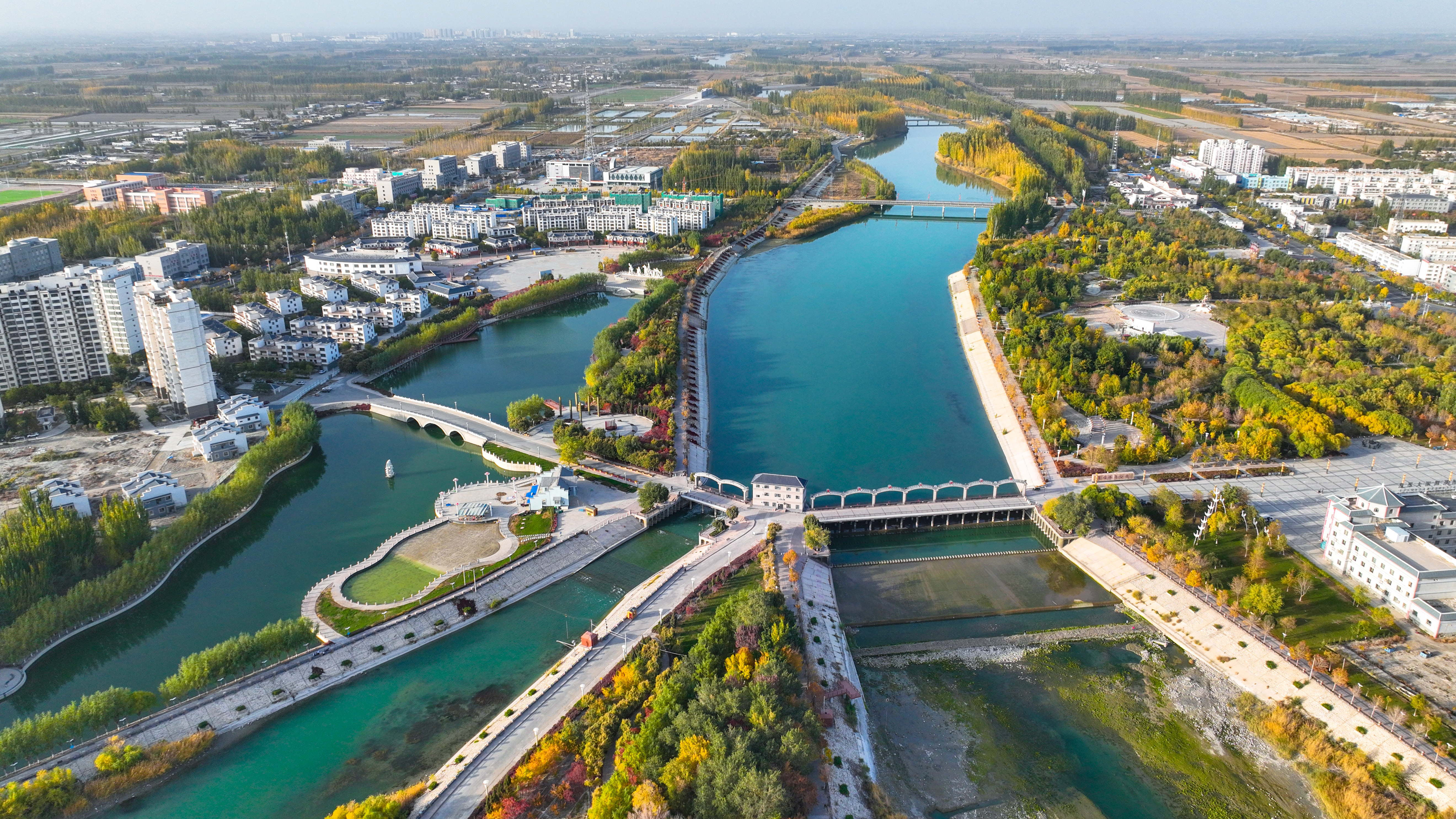 Autumn scenery at Kaidu River of NW China