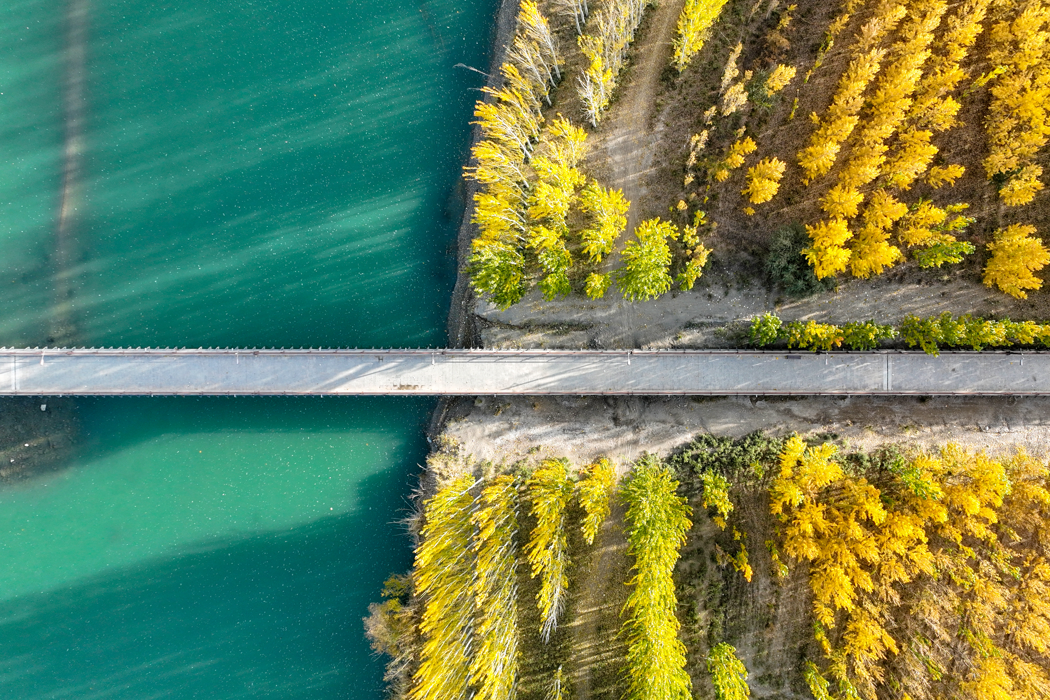 Autumn scenery at Kaidu River of NW China