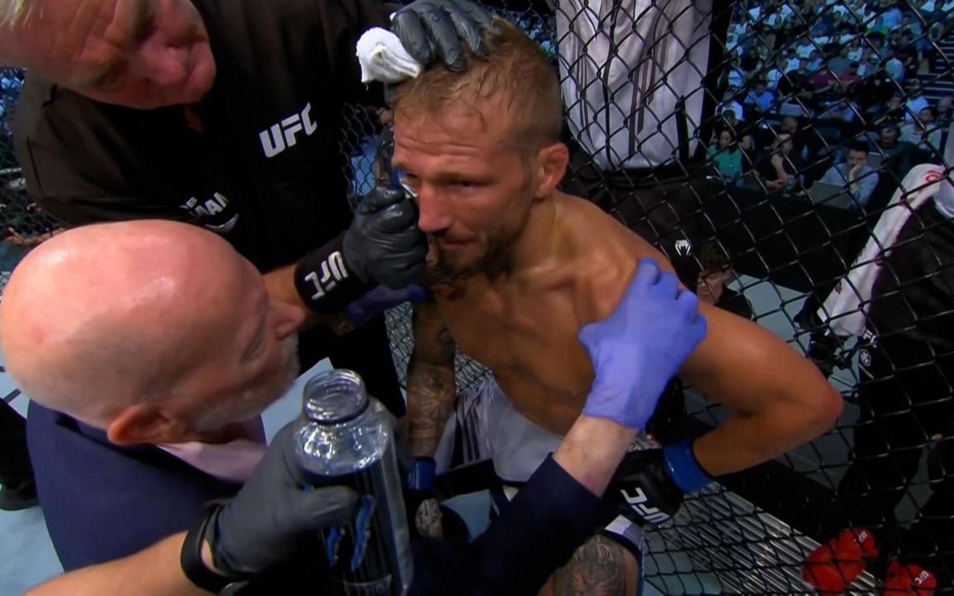 The ringside physician tests the integrity of T.J. Dillashaw's left shoulder after Round 1. /Zuffa