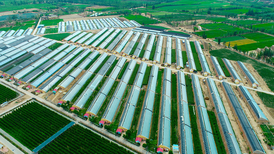 A view of an agricultural industrial cluster in Yinchuan, capital of Ningxia Hui Autonomous Region, China, June 25, 2022. /CFP
