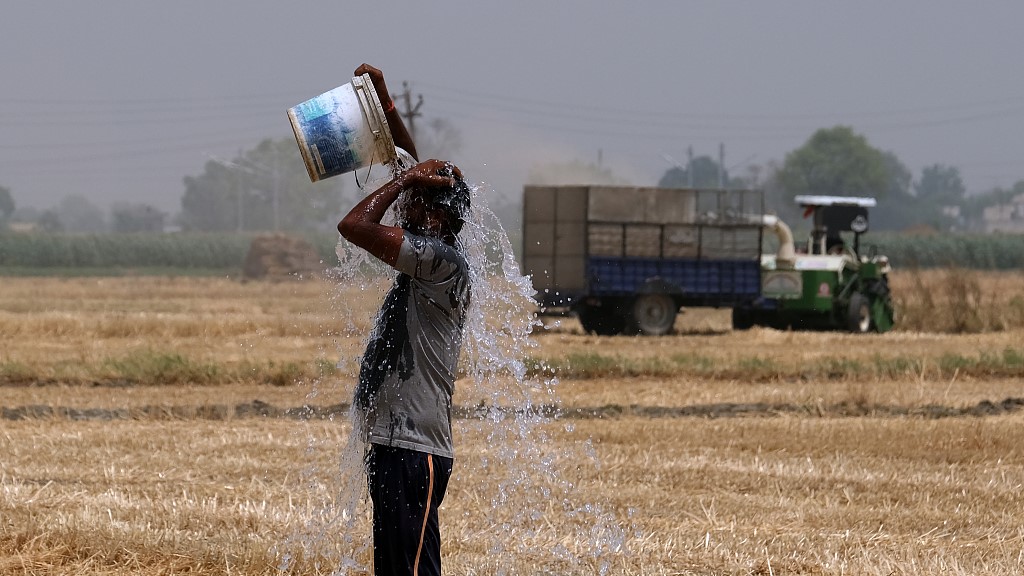 A farmer pours water on himself while working at a wheat farm, Punjab, India, May 1, 2022. /CFP