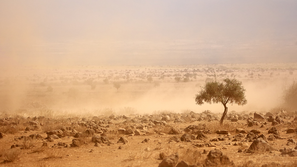 A dusty plain of Kenya amid drought. /VCG