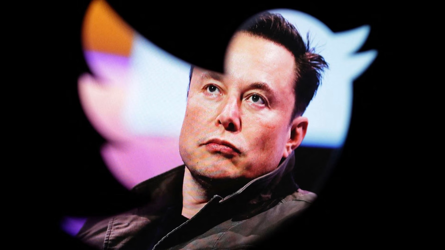 Elon Musk's photo is seen through a Twitter logo in this illustration taken October 28, 2022. /Reuters