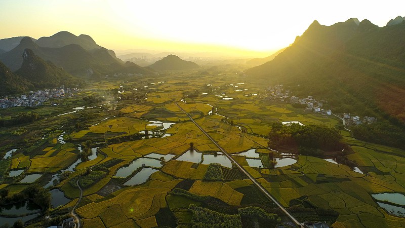 Live: Enchanting autumn views in China - Ep. 6