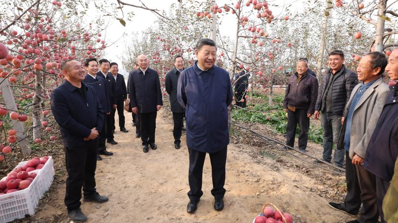 Chinese President Xi Jinping chats with local villagers in an orchard in Nangou Village of Yan'an, northwest China's Shaanxi Province, October 26, 2022. /Xinhua