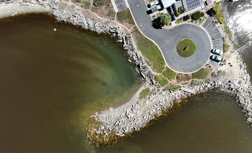 An aerial view of brownish streaks from an algal bloom that are visible in the water in the San Francisco Bay in Alameda, California, August 22, 2022. /CFP