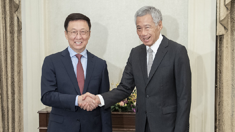 Visiting Chinese vice premier met Singaporean president and PM