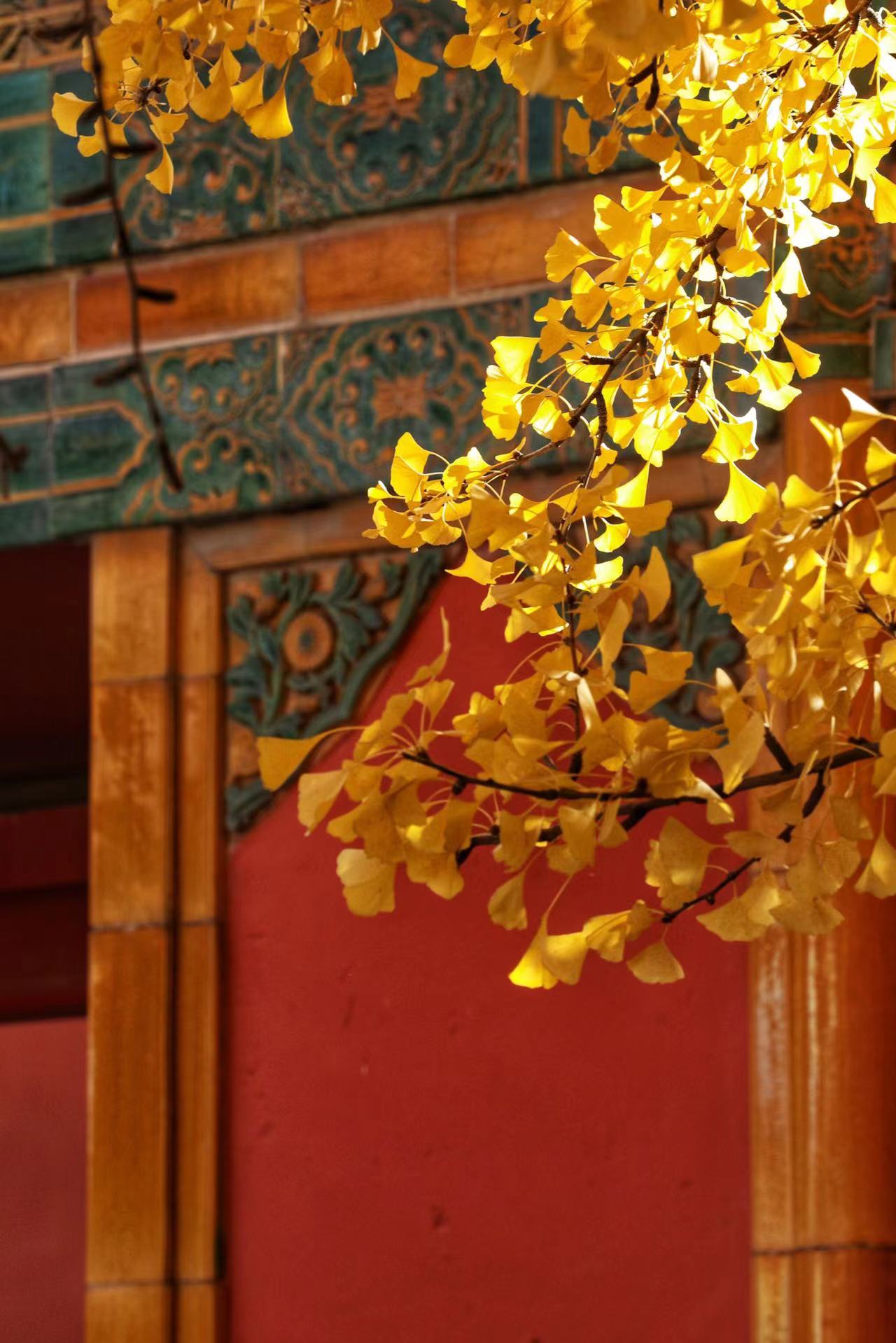 Autumn in the Forbidden City