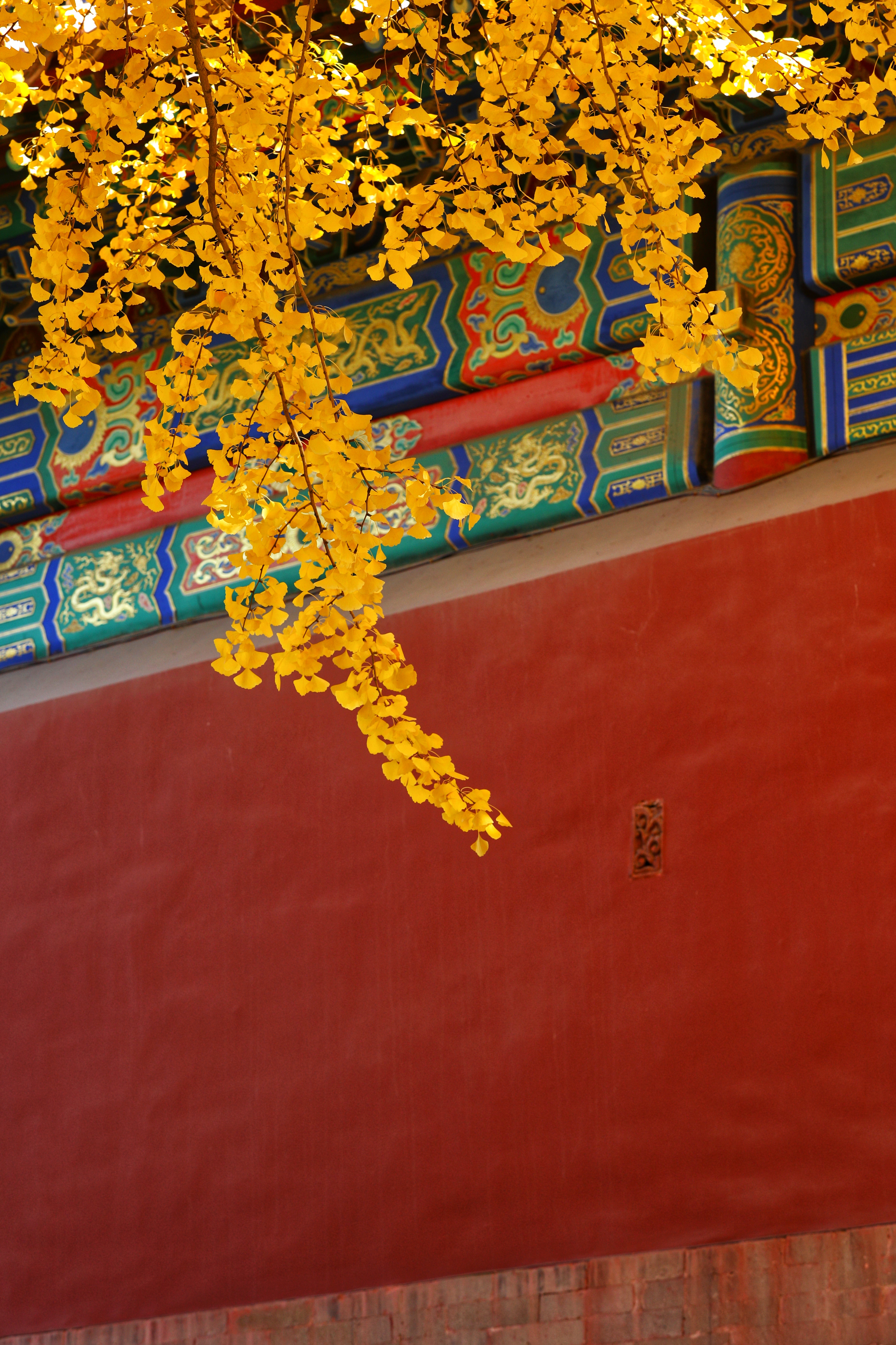 Autumn in the Forbidden City