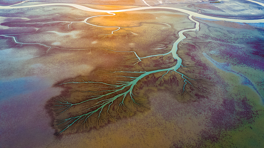 Coastal wetland in Dongying City of east China's Shandong Province. Dongying is among the first batch of international wetland cities. /VCG