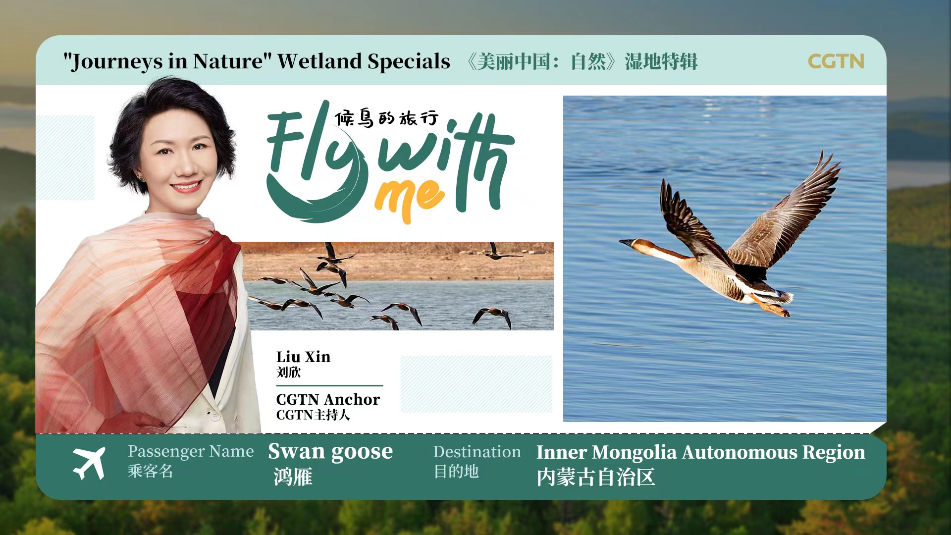 Fly with me: Standing guard on shore of Hulun Lake in N China