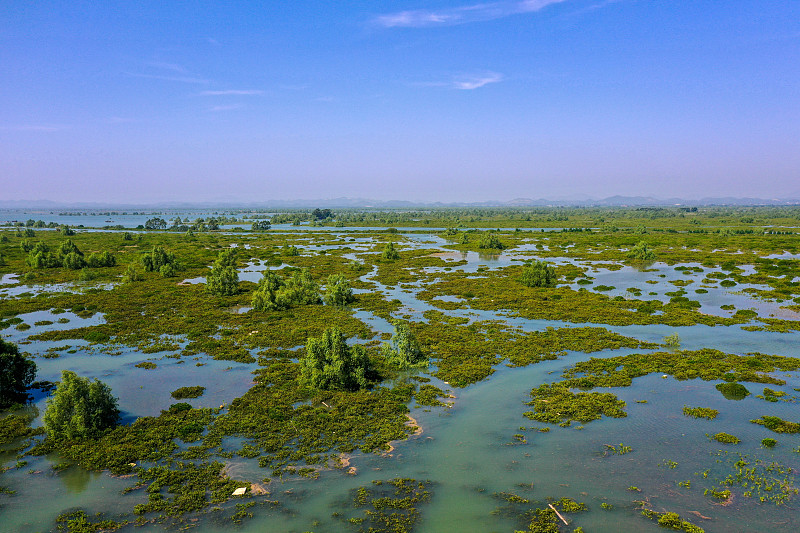 A mangrove nature reserve in Qinzhou, south China's Guangxi Zhuang Autonomous Region, November 2, 2022. /CFP