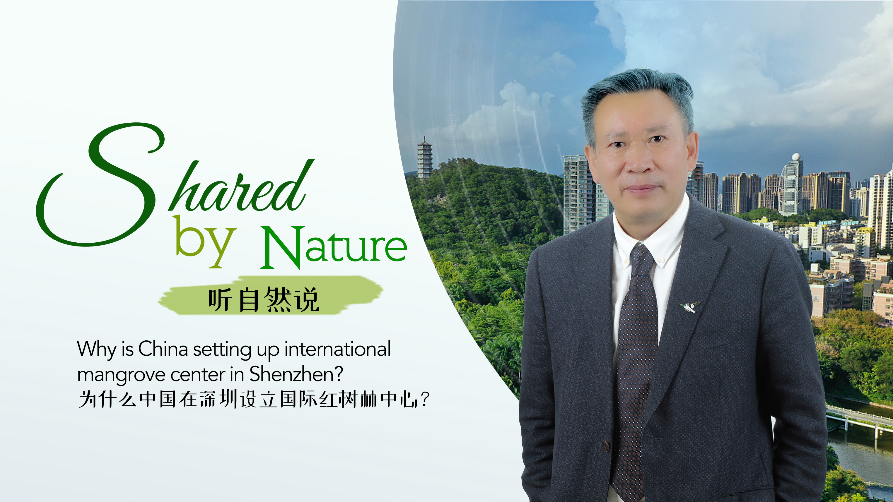 Why is China setting up international mangrove center in Shenzhen?