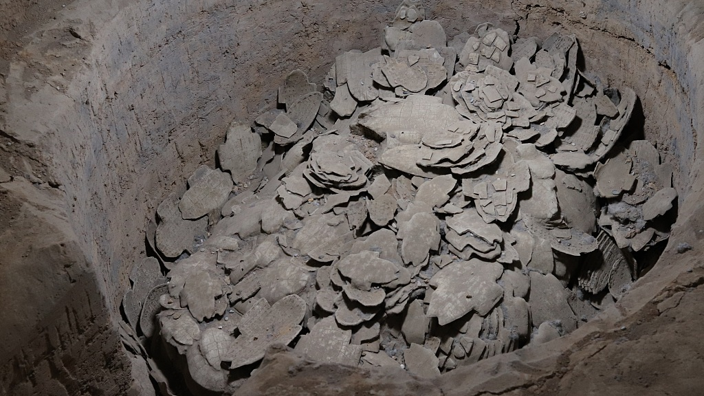 Oracle bone scripts unearthed in Yin Ruins or Yinxu, Anyang City, Henan Province, central China. /CFP