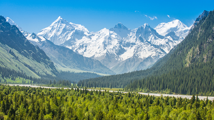 Urumqi Glacier No. 1 on track to disappear - CGTN