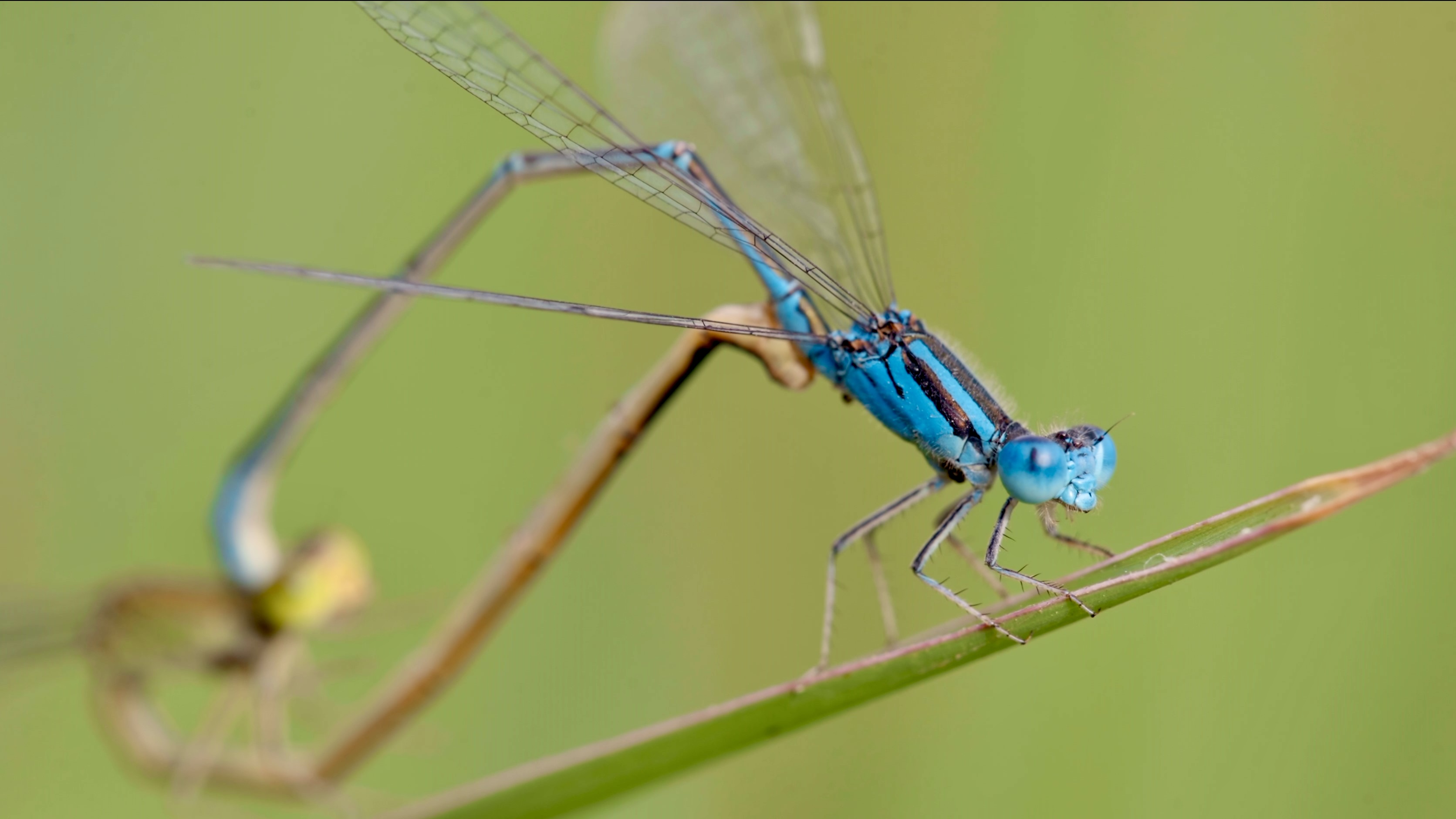 City of Wetlands Series | Episode 8: Circle of life