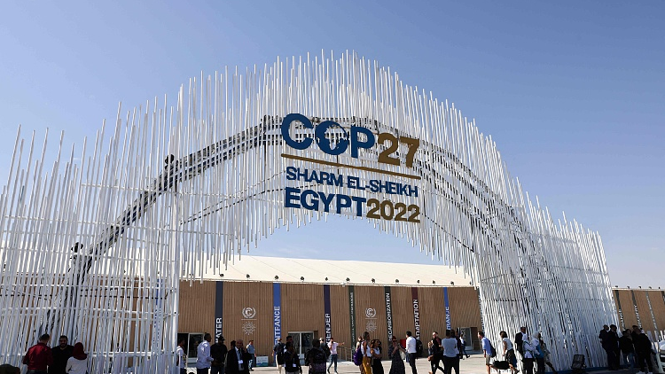 COP27 presidency, FAO launch a food and agriculture initiative - CGTN