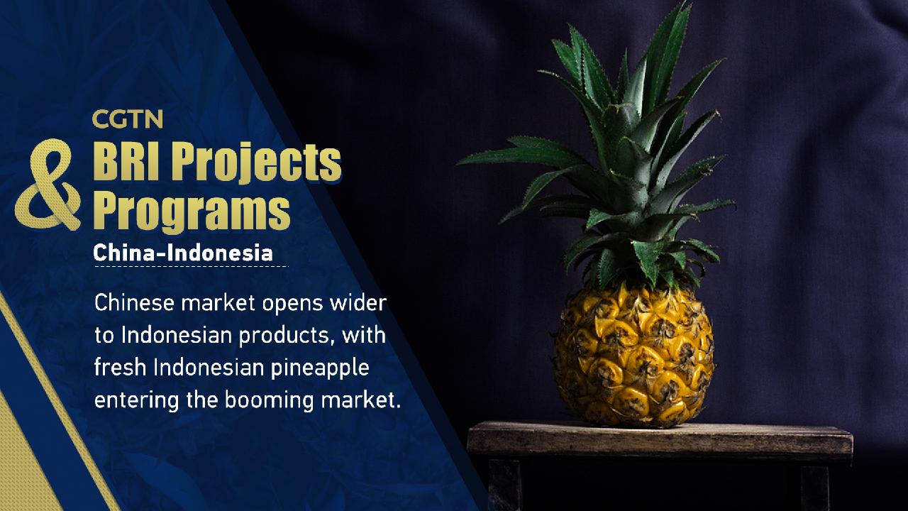 BRI Projects & Programs: Fresh Indonesian pineapples gain Chinese market access