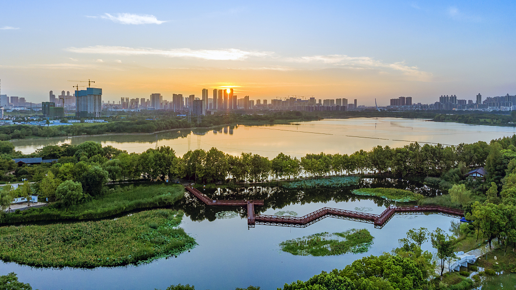 Small, micro wetlands become part of Wuhan's ecological infrastructure