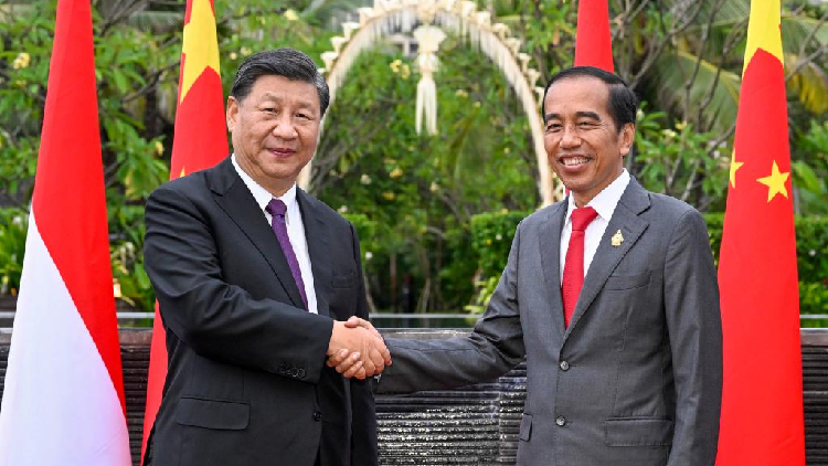 China, Indonesia agree on building community with a shared future - CGTN