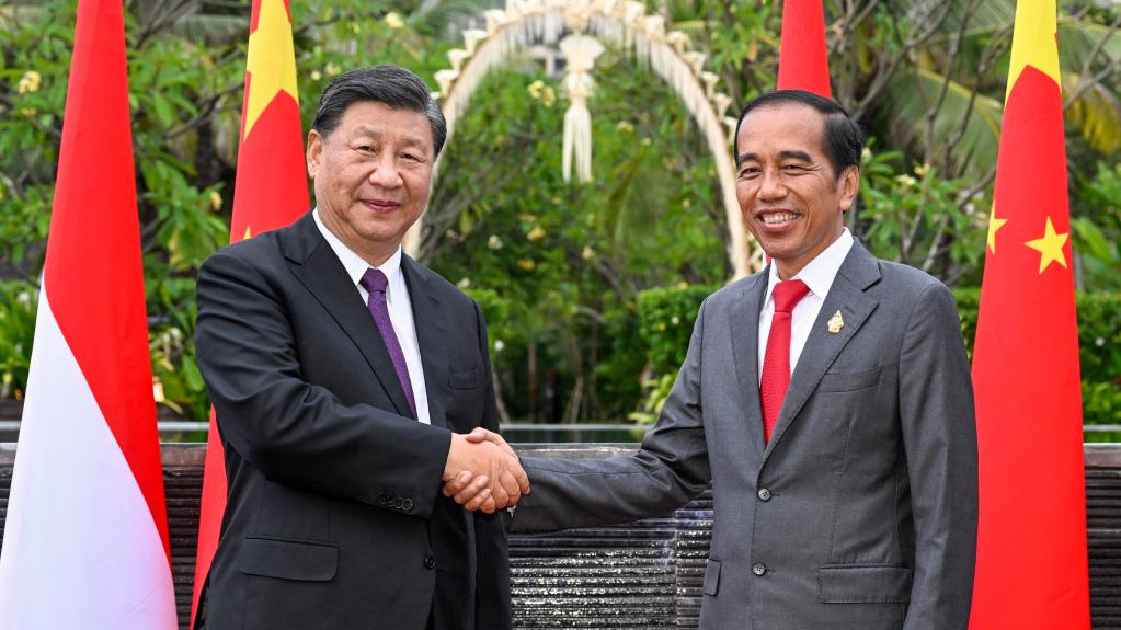 Chinese President Xi Jinping (L) holds talks with Indonesian President Joko Widodo in Bali, Indonesia, November 16, 2022. /Xinhua