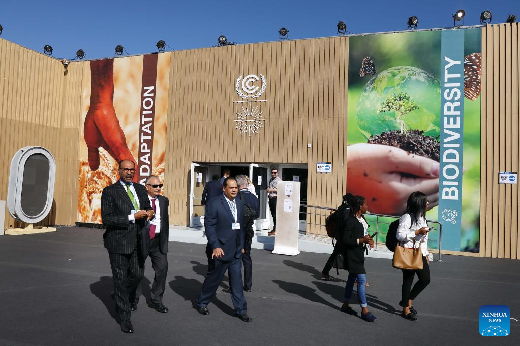 Participants walk past posters during the ongoing COP27 in Sharm El-Sheikh, Egypt, November 7, 2022. /Xinhua
